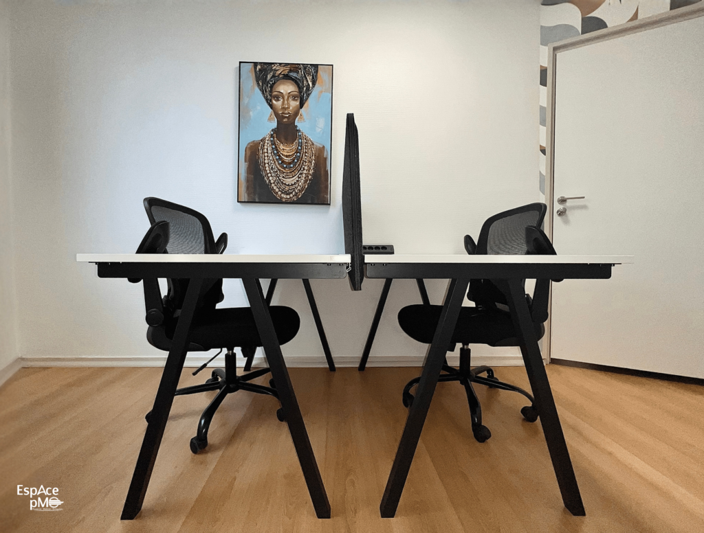 Bureaux minimalistes équipés de chaises ergonomiques, parfaits pour travailler en duo